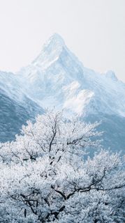 EVEREST