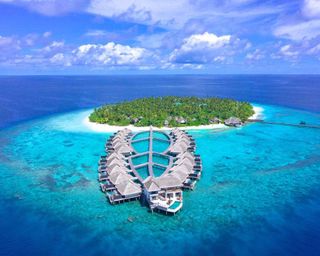 Dream Vacation
