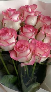 roses