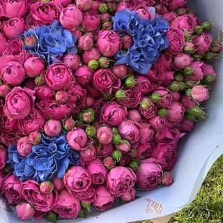 A small bouquet of flowers