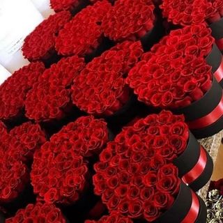 1 million red roses