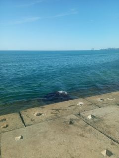 Trip to the sea
