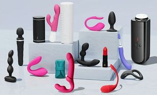 interactive toys
