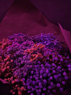 Less talk, more action!