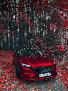 Your fancy car?