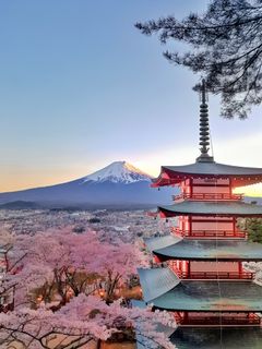 Travel to Japan