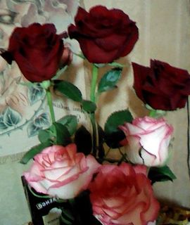 Layra69 wish list item 3 thumbnail