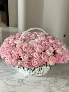 Peonies