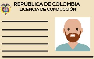 driving course + car license