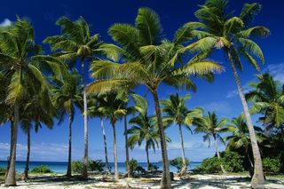 I want to go to warmer climes