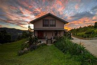 the house of my dream