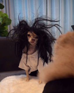 Взбудоражь киску