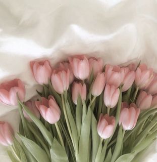 Tulips:3