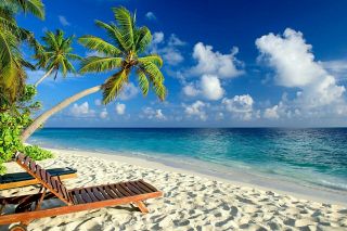 Dream vacation