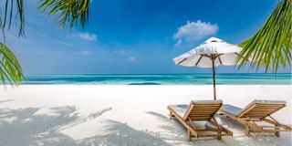 Vacation