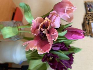 WWWWWQWWWWWQWWWWWQWWWWWQ wish list item 3 thumbnail