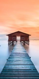 ellasexigirl1 wish list item 3 thumbnail