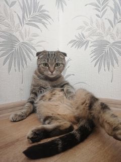 I want a lot of money