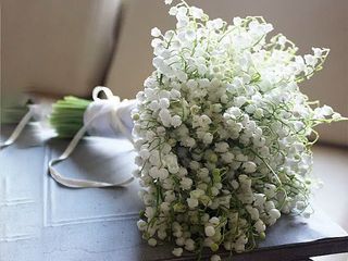 Lilies of the valley