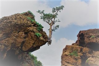 ✨A chance at a better life✨