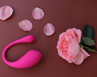lovense