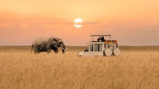 Safari Adventure
