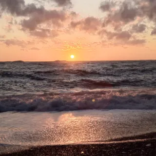 Trip to the sea
