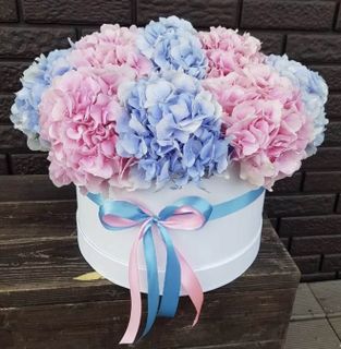 Bouquet of my favorite hydrangeas