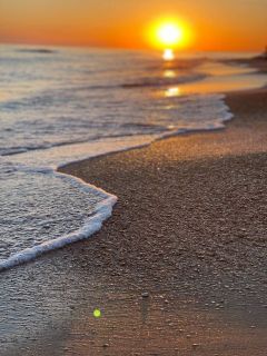 I want to go to the sea...