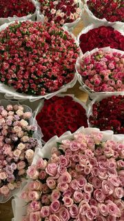 bouquet of flowers/big bouquet of flowers