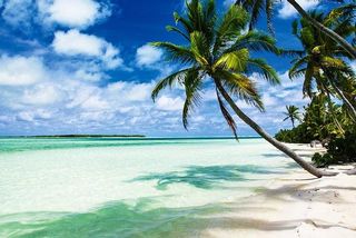 I dream of meeting my beloved and unique prince