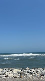 Go to the sea