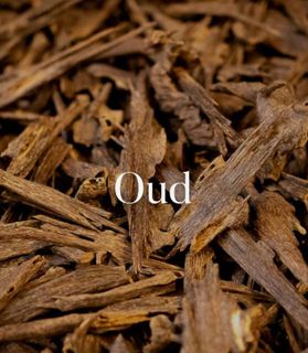 Oud