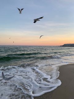 My cherished dream is to fly to the sea.