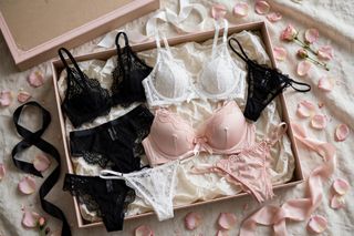 y lingerie