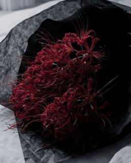 flowers spiders