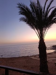 Vacation