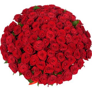 beautiful bouquet of roses