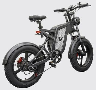 Electric fatbikes for 1 bike 80000 tokens