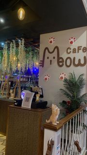 Open your own cat cafe