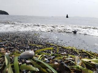 Trip to the Caspian Sea