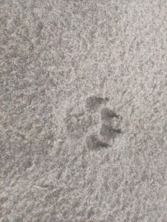 Sex on the beach with seven girls