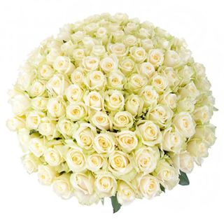 Bouquet of white roses