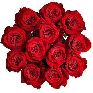 dozen roses