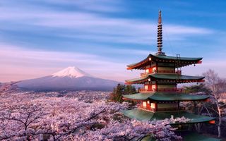 trip to Japan