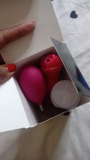 lovense