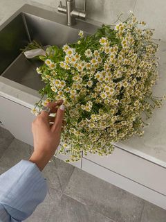 ❀Flirty bouquet❀