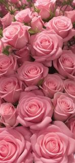 Kinderhor wish list item 1 thumbnail