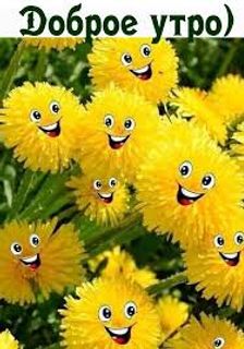 Подари огромный букет цветов