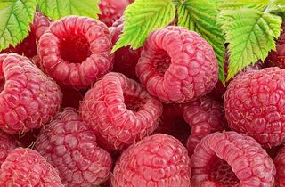 juicy sweet raspberries